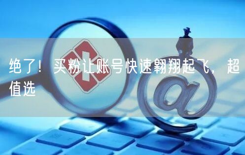 绝了！买粉让账号快速翱翔起飞，超值选