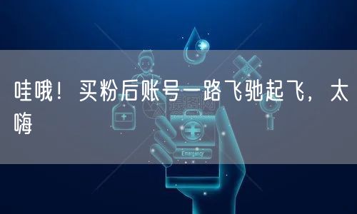 哇哦！买粉后账号一路飞驰起飞，太嗨