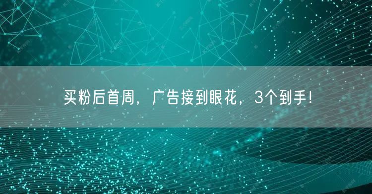 买粉后首周，广告接到眼花，3个到手！