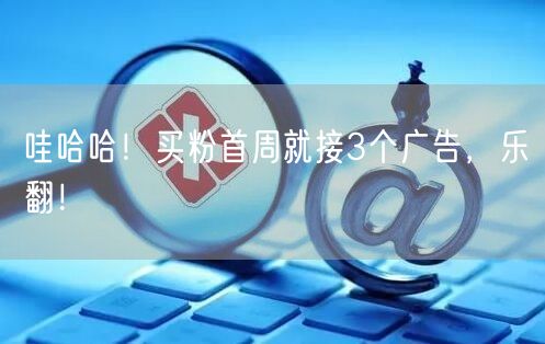 哇哈哈！买粉首周就接3个广告，乐翻！