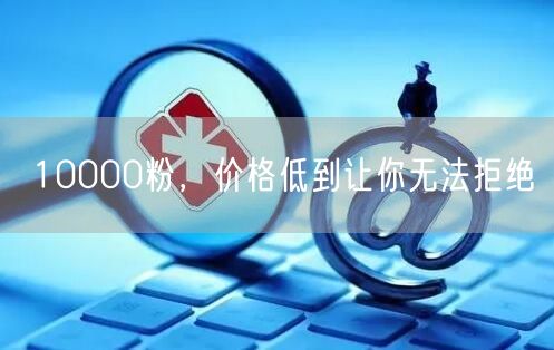 10000粉，价格低到让你无法拒绝